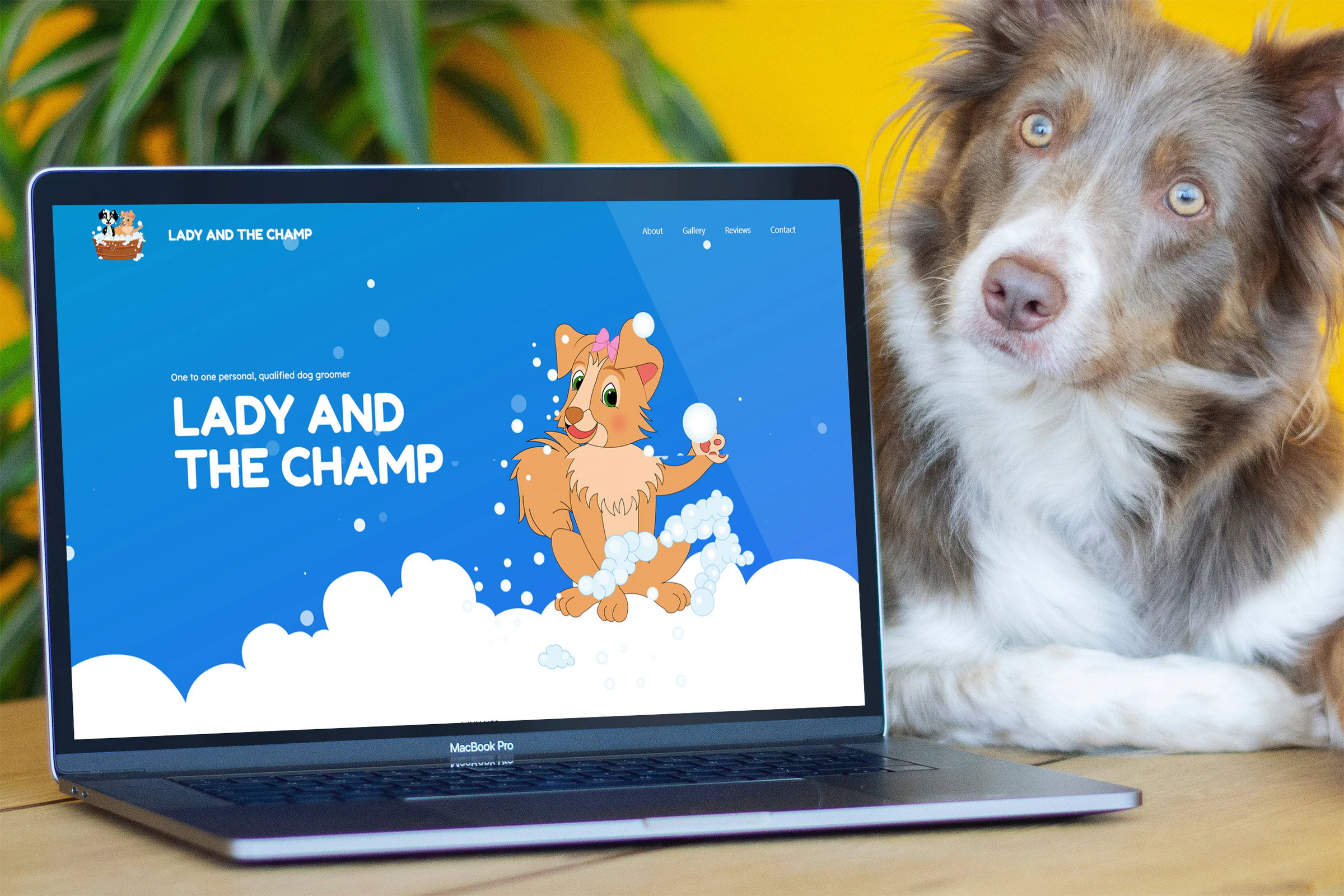 Lady and the Champ website on a laptop beside a dog
